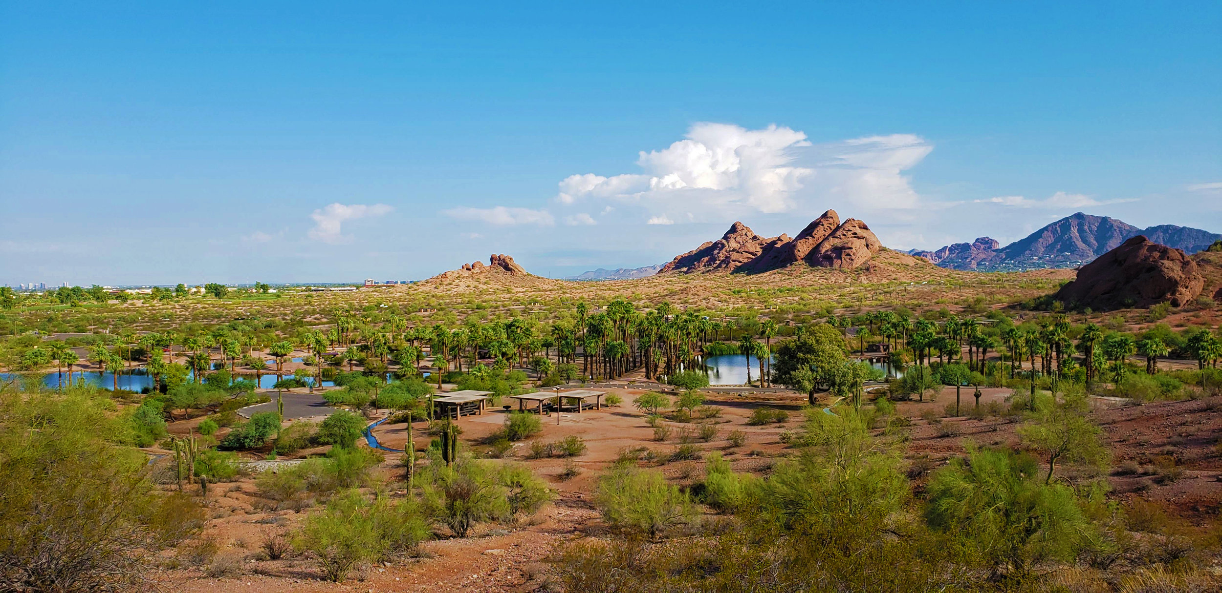 view of a desert oasis