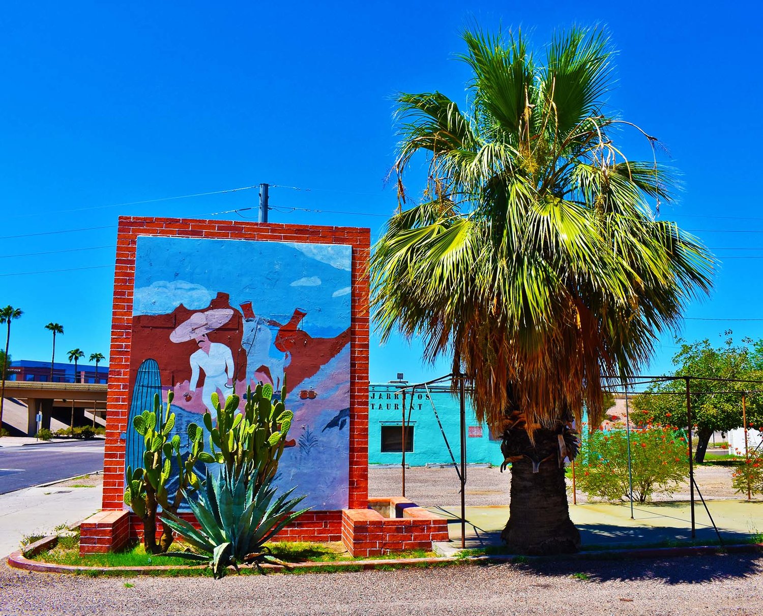 palmtree